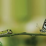 Blog Design NC J 2019 03 25 07