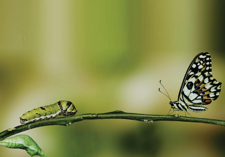 Blog Design NC J 2019 03 25 07