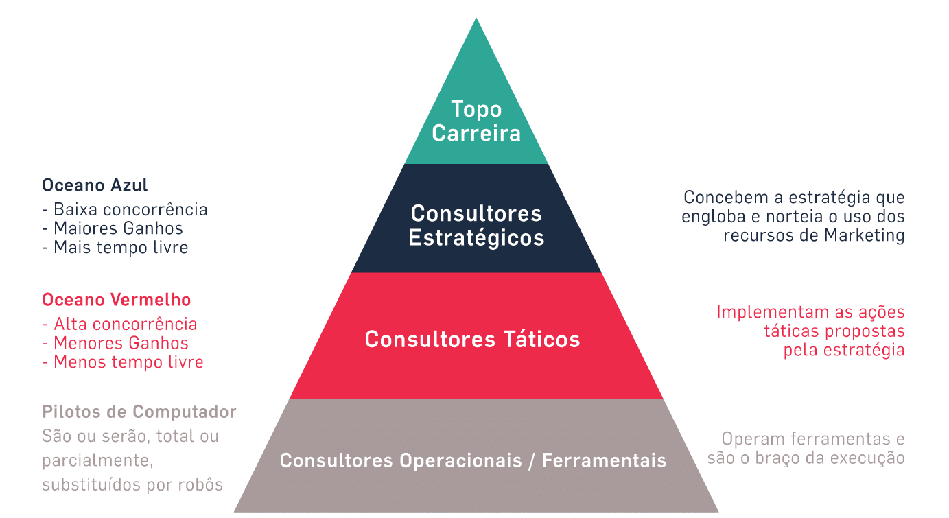 As Castas da Consultoria - Modelo Carvalho e Schweitzer (2019) As Castas da Consultoria - Modelo Carvalho e Schweitzer (2019)