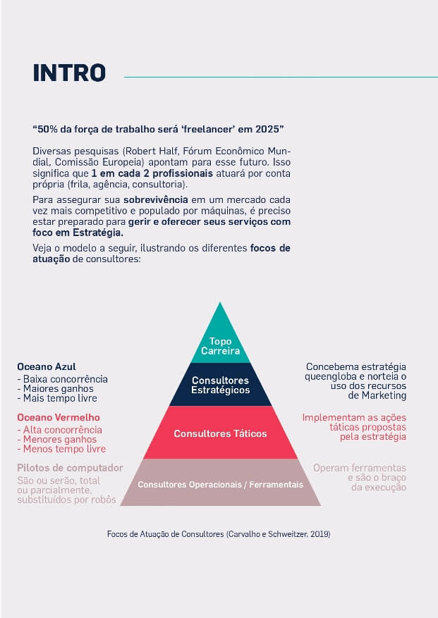 ebook-58-Dicas-Avancadas-de-Consultoria-page-3