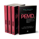Livro Metodologia PEMD: Planejamento Estratégico de Marketing na Era Digital (Nino Carvalho, 2023)